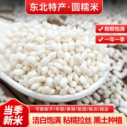 糯米粽子专用圆糯米八宝饭白糯米