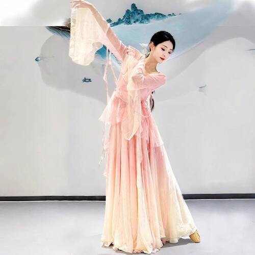新款古典练功服春颂飘逸仙气中国舞蹈渐变色纱衣大裙摆演出服套装