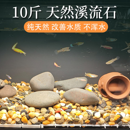 天然鹅卵石原生溪流石鱼缸造景底部砂石乌龟水培石子花盆铺面石头