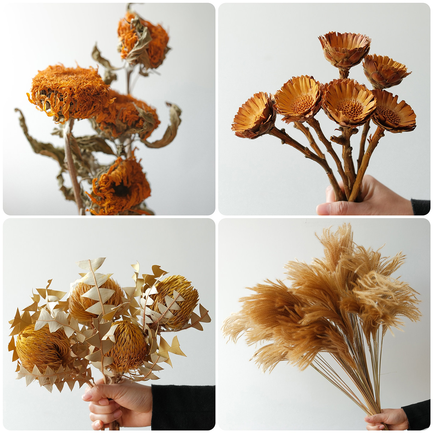 黄色系干花花束天然风干真花客厅装饰班克木芦苇黄金球紫罗兰雏菊