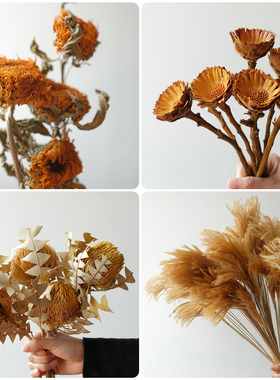 黄色系干花花束天然风干真花客厅装饰班克木芦苇黄金球紫罗兰雏菊