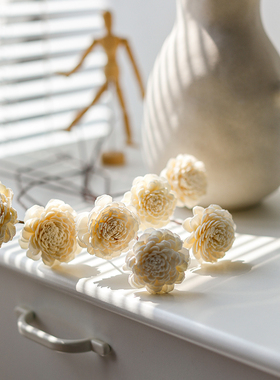 小清新手工香薰通草花干花玫瑰仿真花卧室客厅装饰摆件天然扩香花