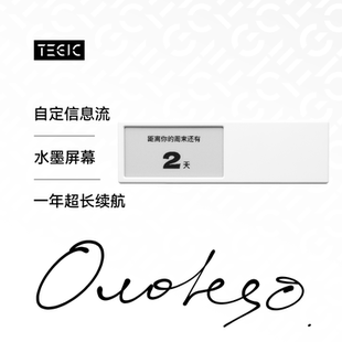 TEGIC X Quote/0摘录 墨水屏DIY自定义 磁吸冰箱贴NFC API股票 背单词桌搭