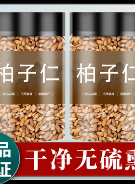 柏子仁酸枣仁茶正品野生中药材500g伯子仁炒柏籽粉侧柏子白子泡茶