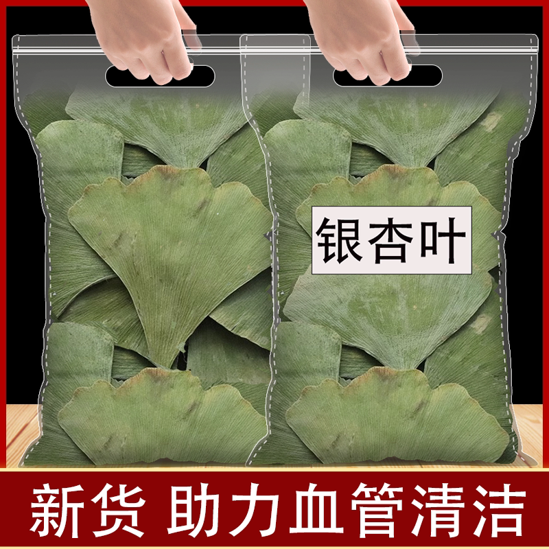 银杏叶片茶银杏叶中药材500g包邮正品中老年新货银杏叶干白果树叶