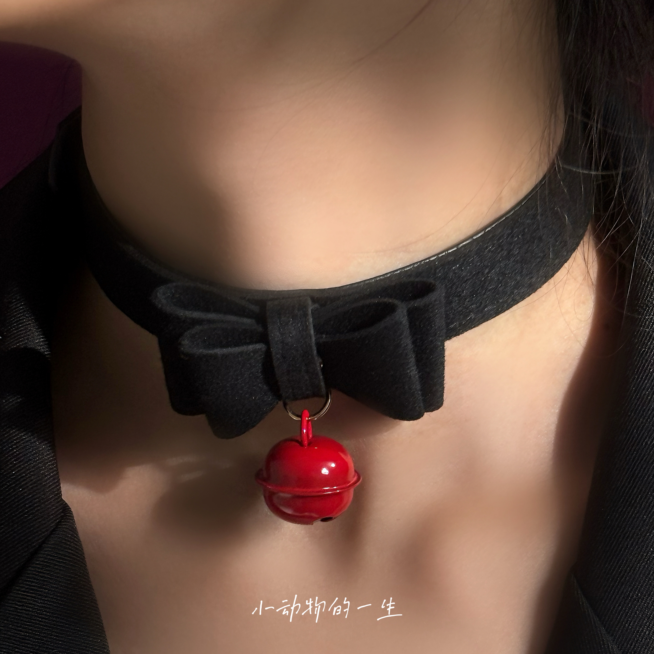 蝴蝶结铃铛项圈牵引绳颈带链子