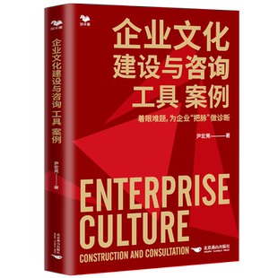 企业文化建设与咨询工具 案例 着眼难题为企业把脉做诊断 尹宏亮 实操流程 丹尼森双S立体模型奎因竞争性沙因测评模型 三世五行