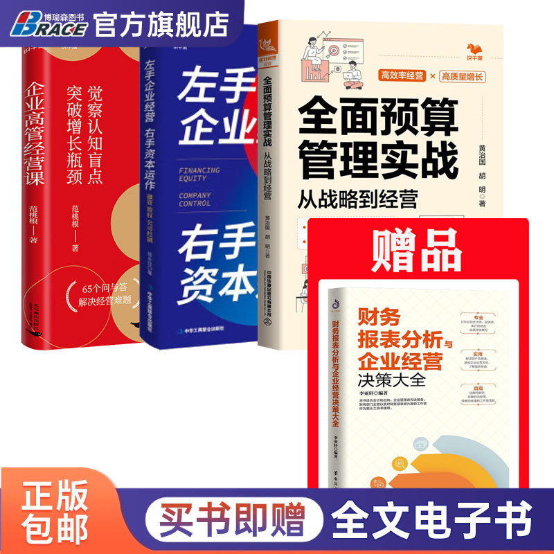 走向高层的预算.资本运作.经营.财务4门技能书:全面预算管理实战+左手企业经营右手资本运作+企业高管经营课+财务报表分析决策大全