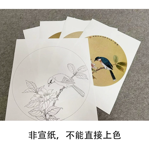 [Нет шагов] Dai Qingchi Gongbi Painting Baihua Draft Torch Poor Curmine Birds Набор из четырех новичков, копия, оригинальный большой размер 35*35 см линии цветов и птиц TD05