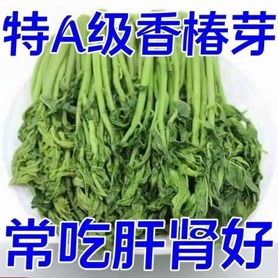 2025新农家手工腌制香椿芽咸菜头茬香椿头新鲜香椿腌制嫩香椿包