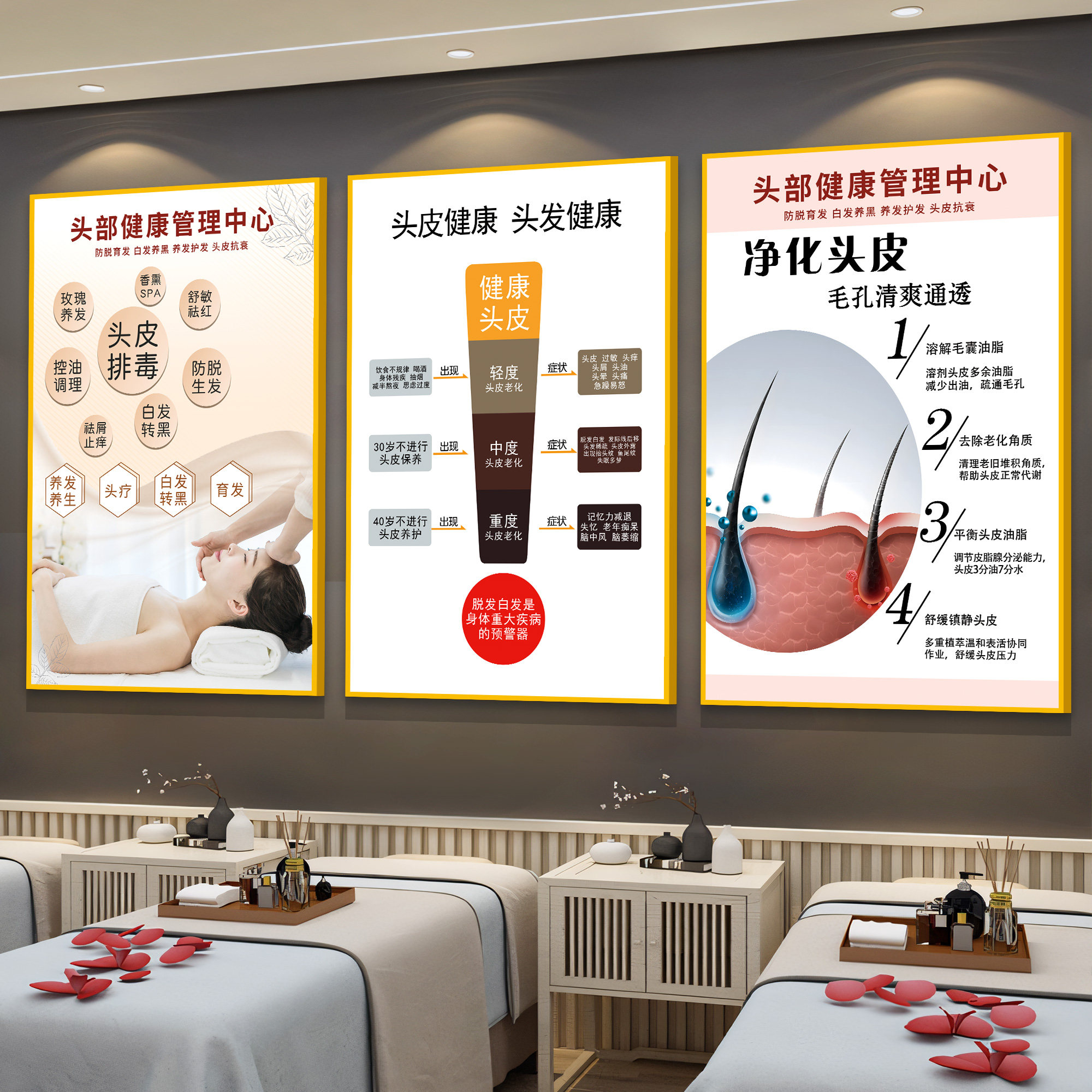头皮检测管理海报宣传广告头疗养发墙面装饰画美容院毛囊抗衰挂画