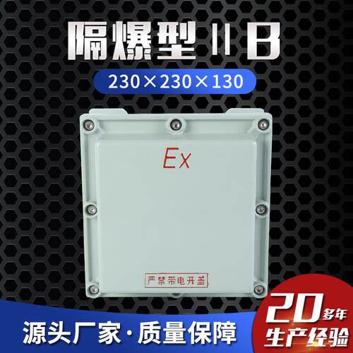隔爆型ⅡB230×230×130防爆接线箱防爆配电箱防爆控制箱