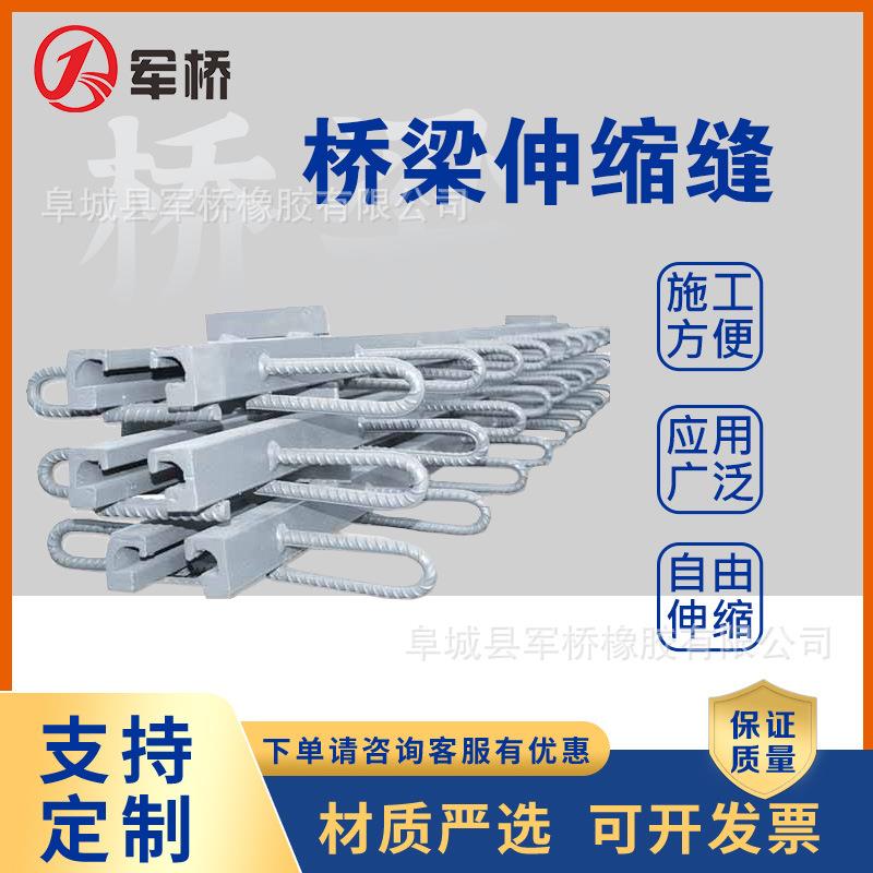 公路桥梁伸缩缝C40多向变位梳齿板型伸缩缝异型钢模数式伸缩装置