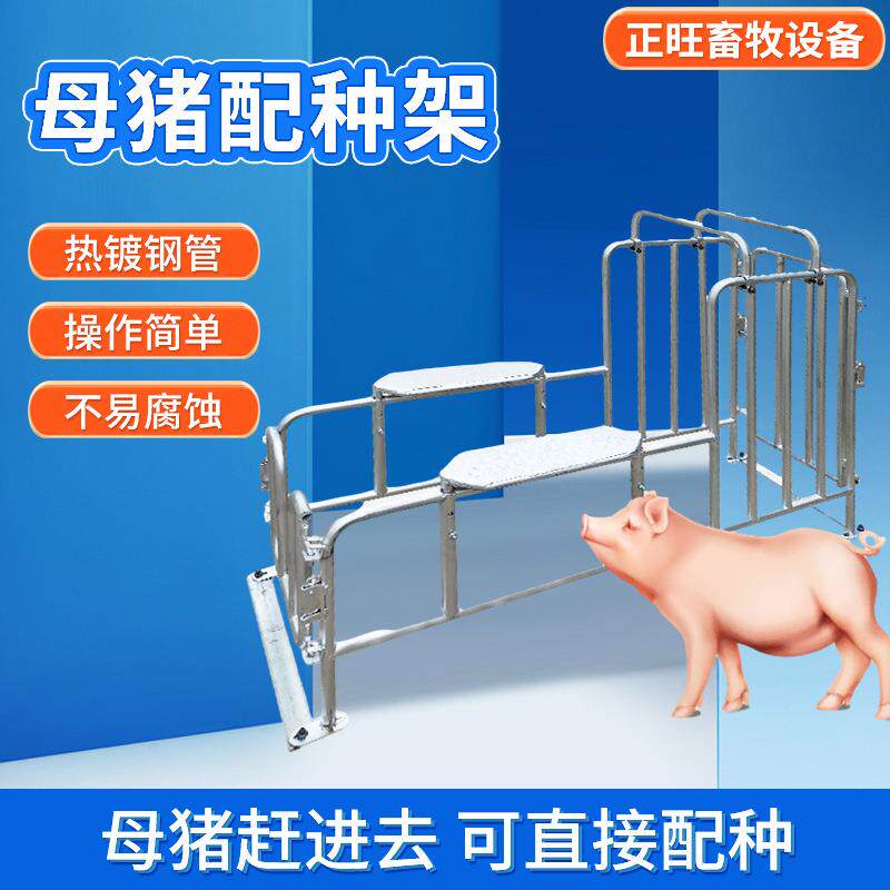 母猪配种架热镀锌母猪大公猪采精架子种猪矮脚配种神器养殖设备