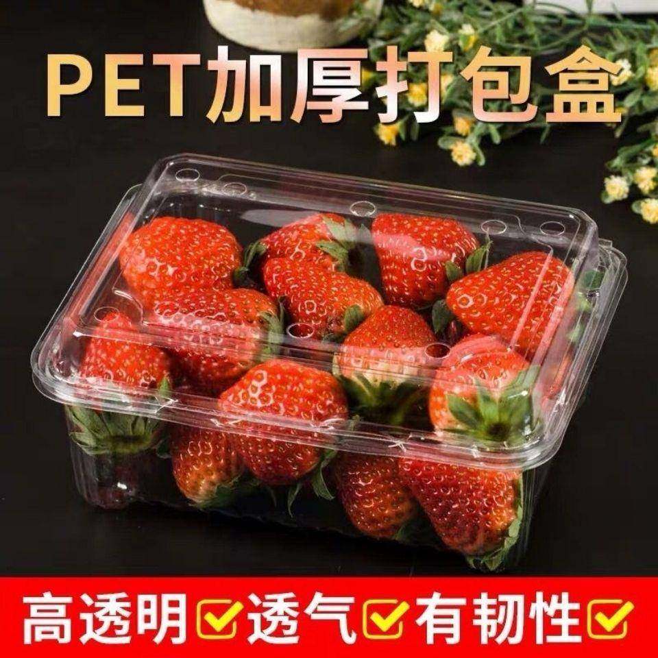 一次性透明水果打包盒一斤装草莓塑料保鲜盒500克有盖密封盒无孔