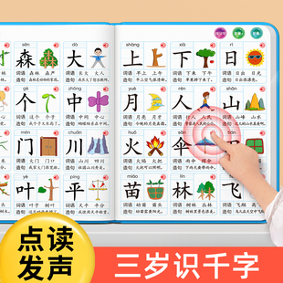 识字书幼儿认字点读机识字大王3000字儿童看图发声宝宝早教卡启蒙