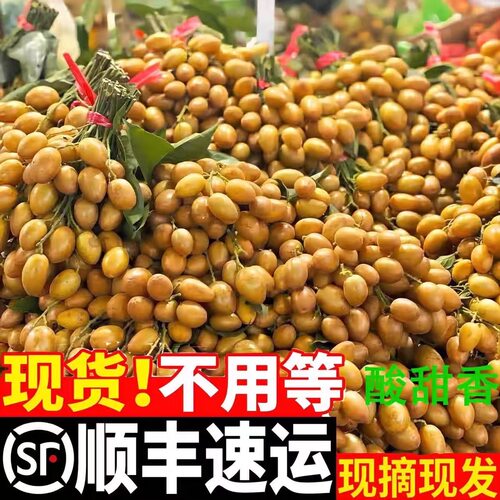 【顺丰冷链】当季鸡心黄皮新鲜孕妇水果正宗酸甜黑黄皮果整箱包邮