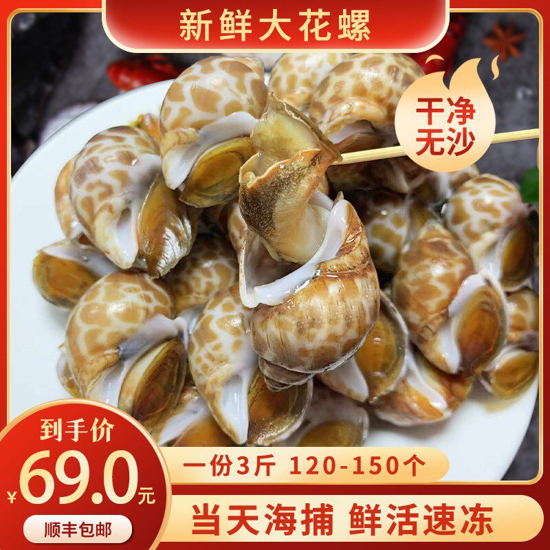 花螺鲜活新鲜海螺东风螺猫眼螺凤螺香螺海鲜水产冷冻特大花螺3斤