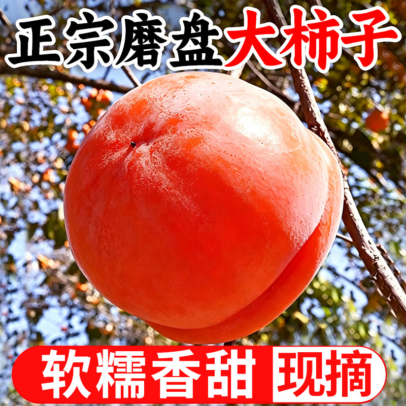 官方推荐丨磨盘大柿子丨香甜多汁