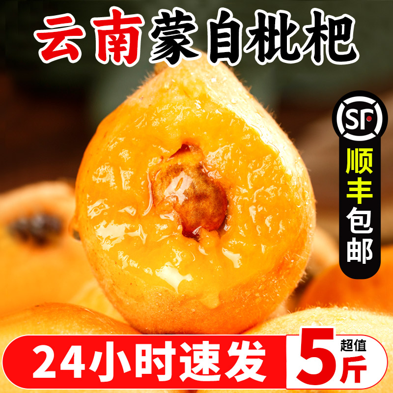 【顺丰】现摘蒙自枇杷鲜甜多汁