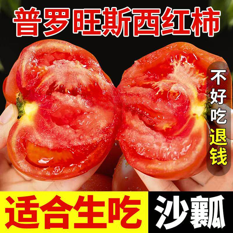 陕西泾阳普罗旺斯西红柿新鲜自然熟沙瓤生吃水果当季蔬菜非圣女果