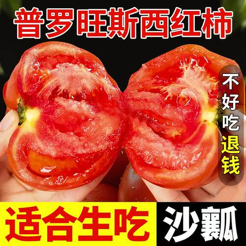 【顺丰】正宗普罗旺斯番茄沙瓤甜