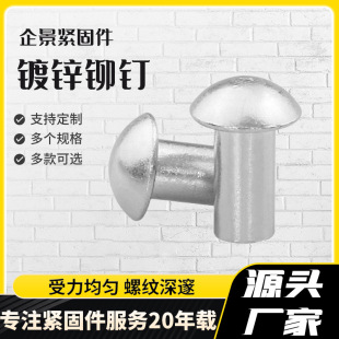 厂家圆头铆钉镀锌半空心铆钉扁圆头碳钢高强度半空心铆钉螺钉