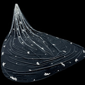 新娘结婚主婚纱头纱超仙森系韩式 拖尾高级感蕾丝珍珠头纱头饰 长款