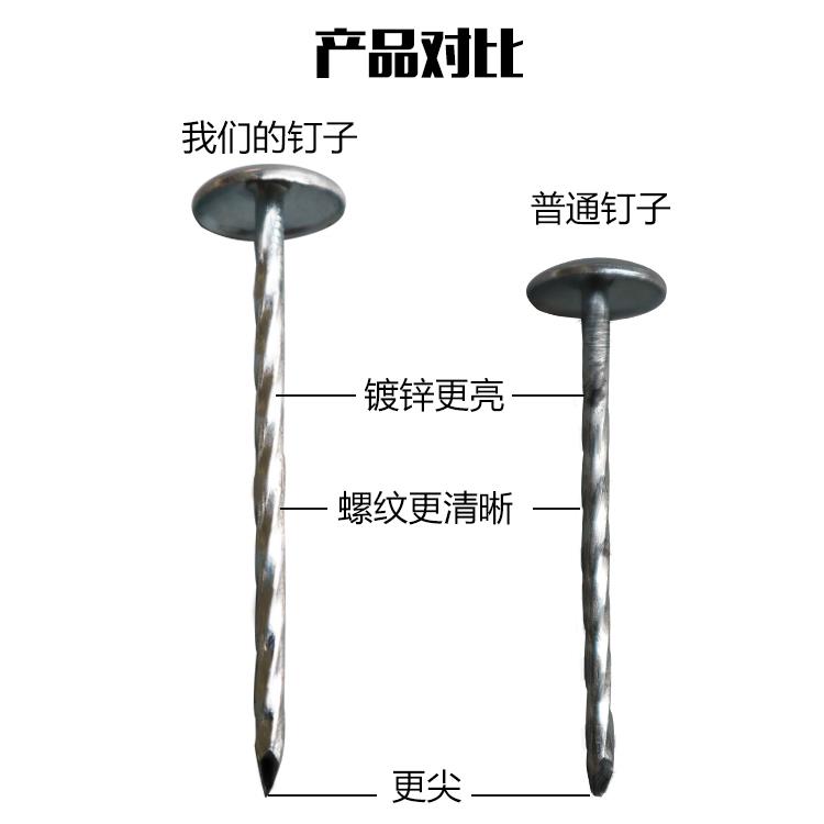 不锈钢大头钉加长大帽木用钉子瓦楞钉螺丝钉水泥墙钉