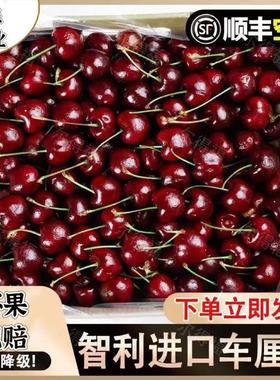 智力车厘子不降级发货新鲜水果包邮孕妇水果3J