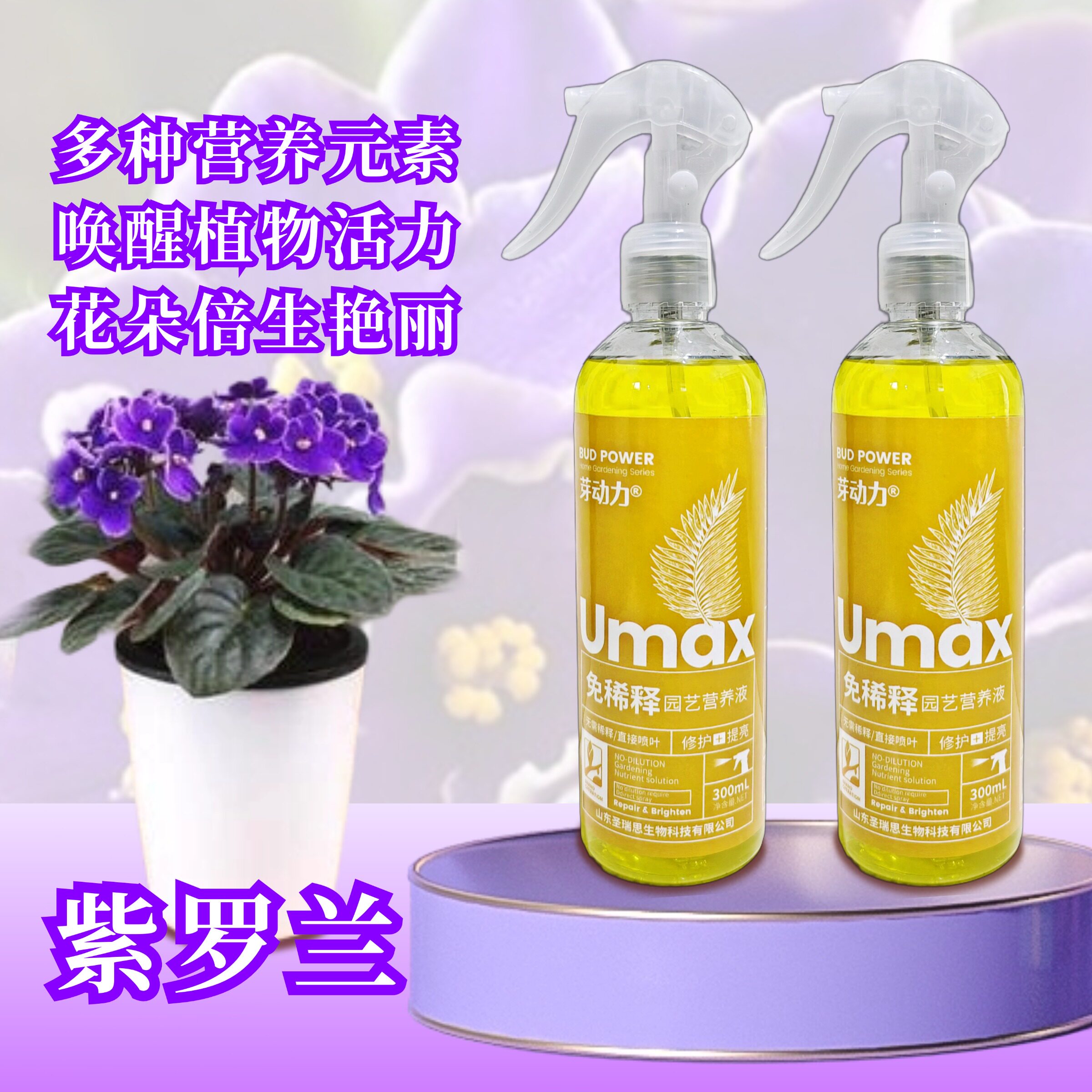 紫罗兰非洲堇免稀释营养液室内专用重瓣迷你盆栽植物喷施叶面肥