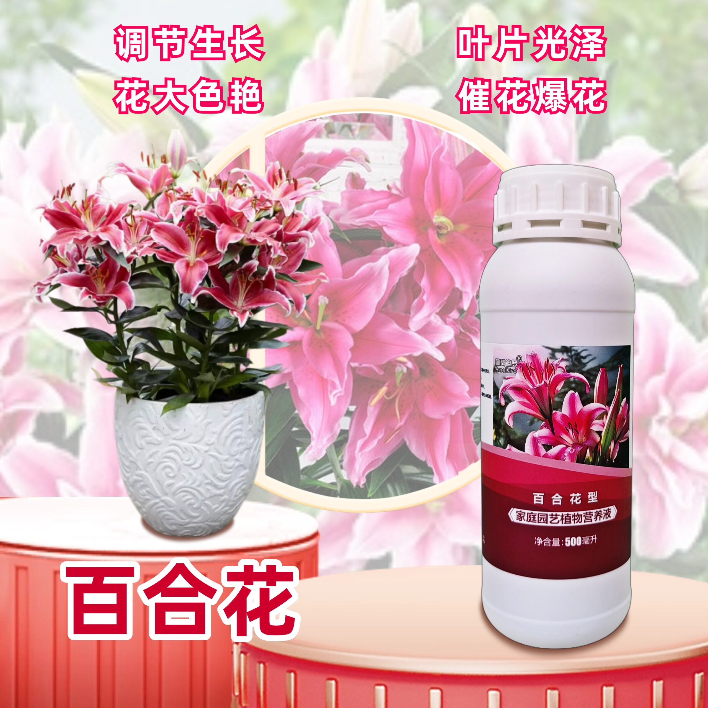 嘉兰百合香水百合花营养液图片