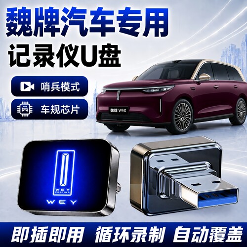 魏牌行车记录仪哨兵专用U盘
