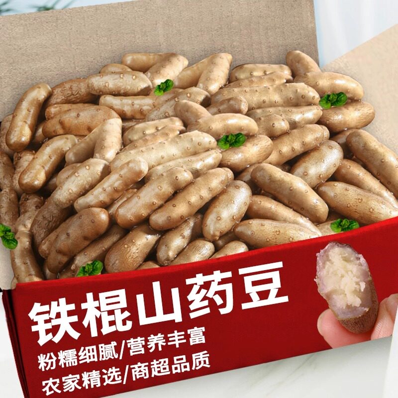 新鲜正宗小白嘴山药豆农家精选山药蛋比铁棍山药豆5斤3斤中大豆