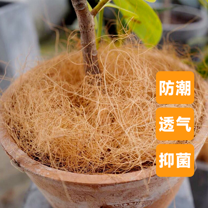 进口园艺椰丝铺面花盆填充物盆栽装饰植物种花椰棕丝盆景铺盖面草