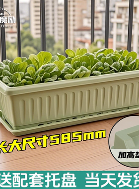 生长魔励塑料花盆加大特大号阳台苗木盆景育苗盆长方形养花种菜盆