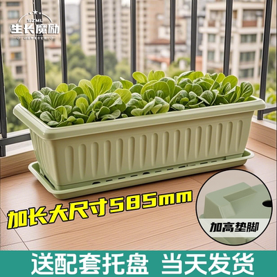 生长魔励塑料花盆加大特大号阳台苗木盆景育苗盆长方形养花种菜盆