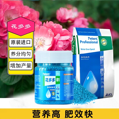 多多1号促花通用型月季
