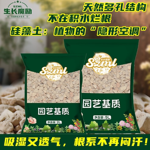 生长魔励硅藻土花土颗粒多肉植物铺面土肉肉盆栽配方营养土铺面石