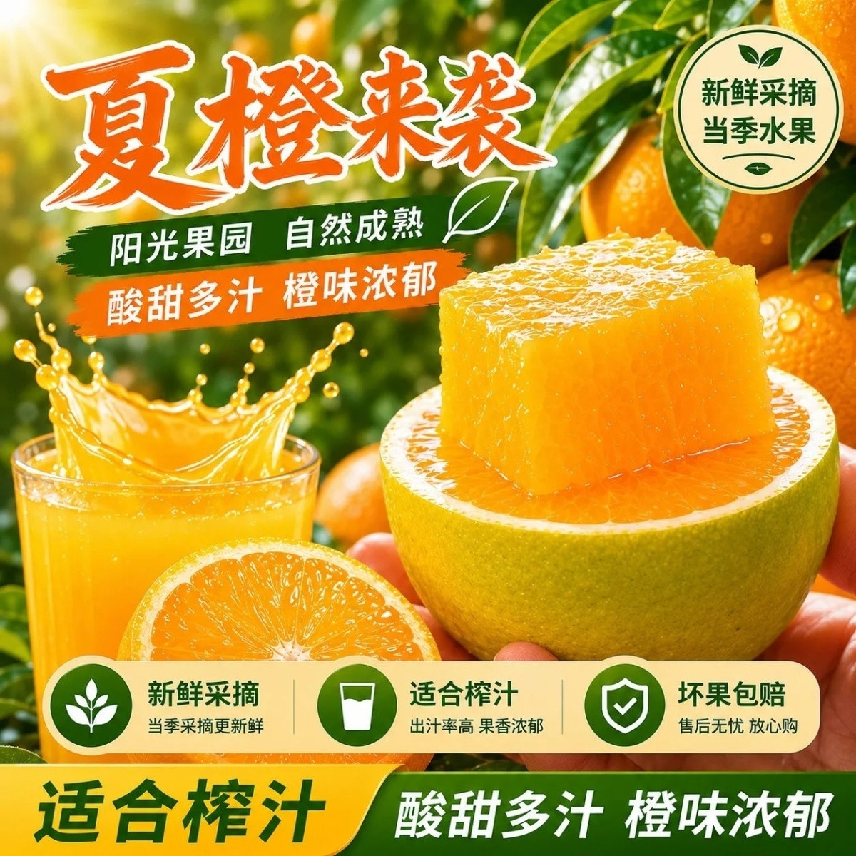 秭归夏橙正宗脐橙9斤新鲜水果