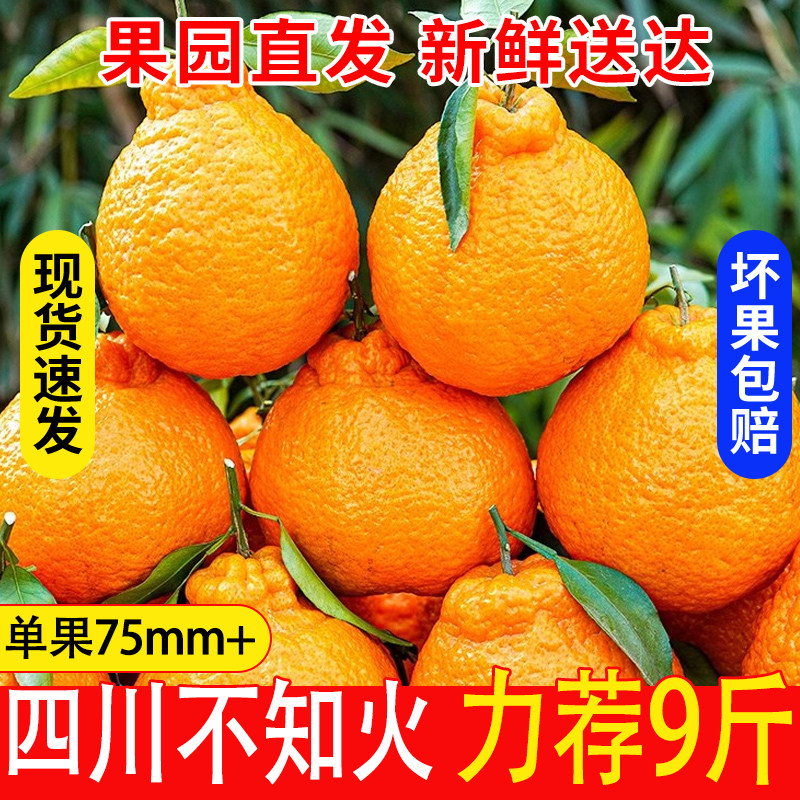 四川不知火丑橘新鲜水果应当季丑八怪桔橘子速发现货5产地大果甜