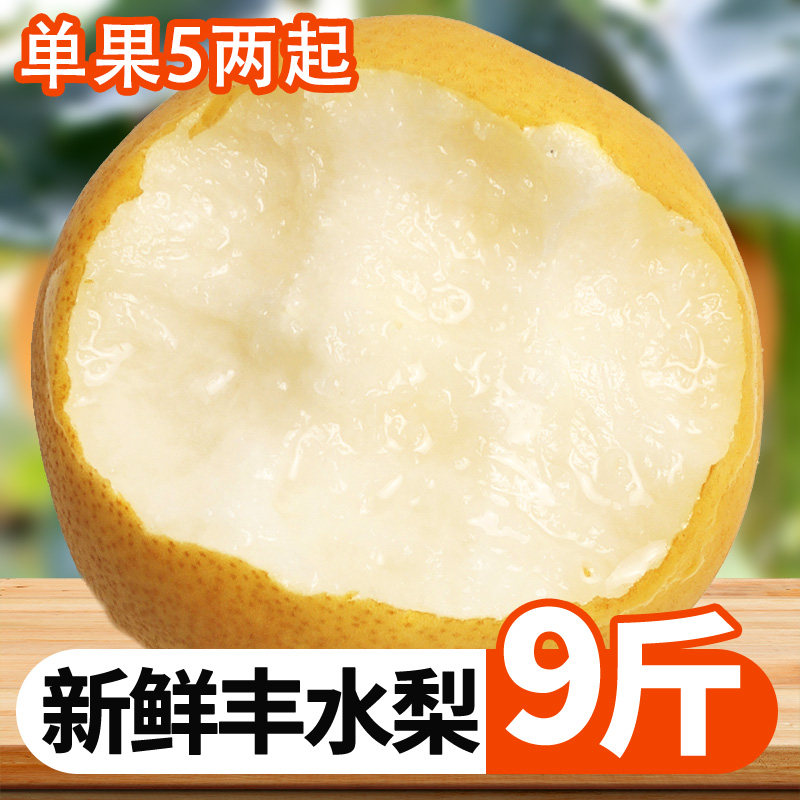 正宗丰水梨应当季原产地新鲜水果