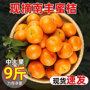 广西南丰蜜桔橘子现货速发应当季新鲜水果中大果整箱酸甜多汁速发