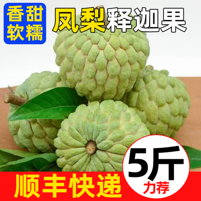 顺丰快递凤梨释迦果冰淇淋果