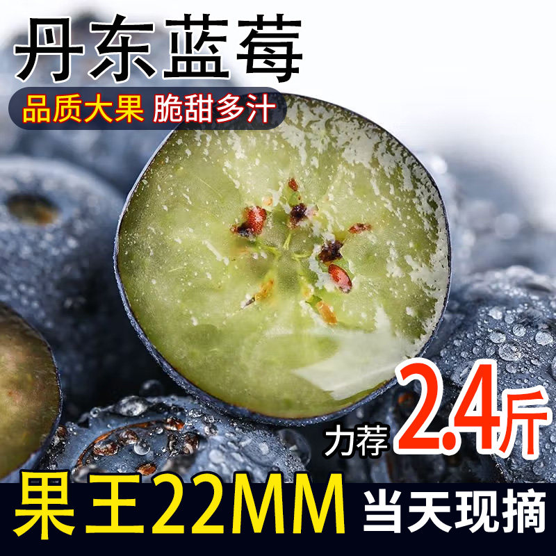 丹东蓝莓新鲜水果现摘速发
