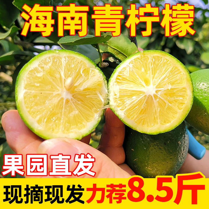 海南青柠檬原生态新鲜水果多汁