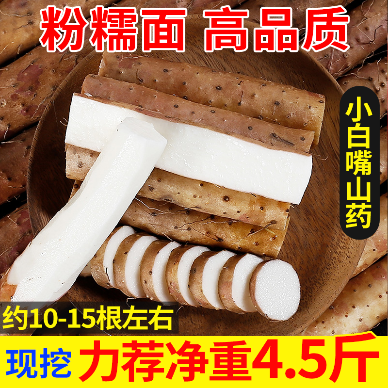 河北蠡县小白嘴山药新鲜现挖