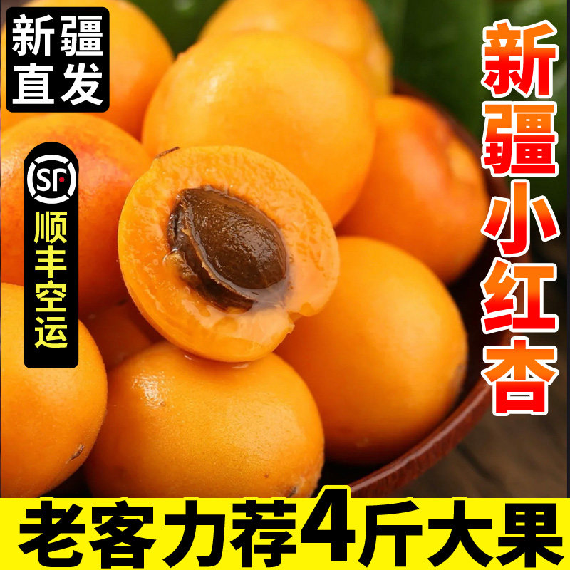 正宗新疆小红杏子特产顺丰空运