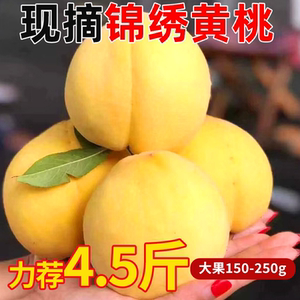 锦绣黄桃现摘新鲜水果当季