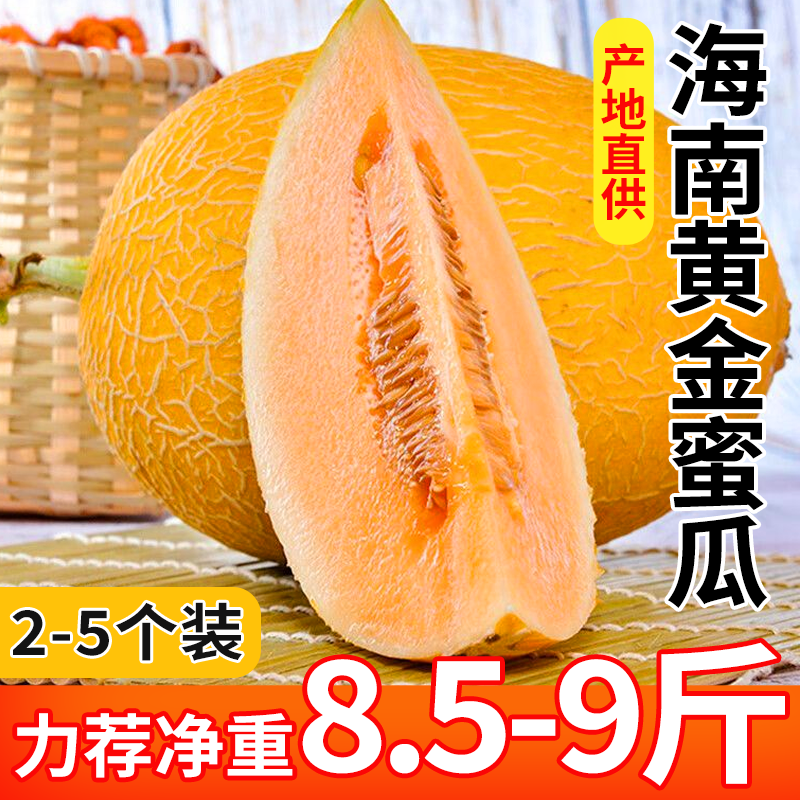 海南黄金蜜瓜哈密瓜新鲜水果